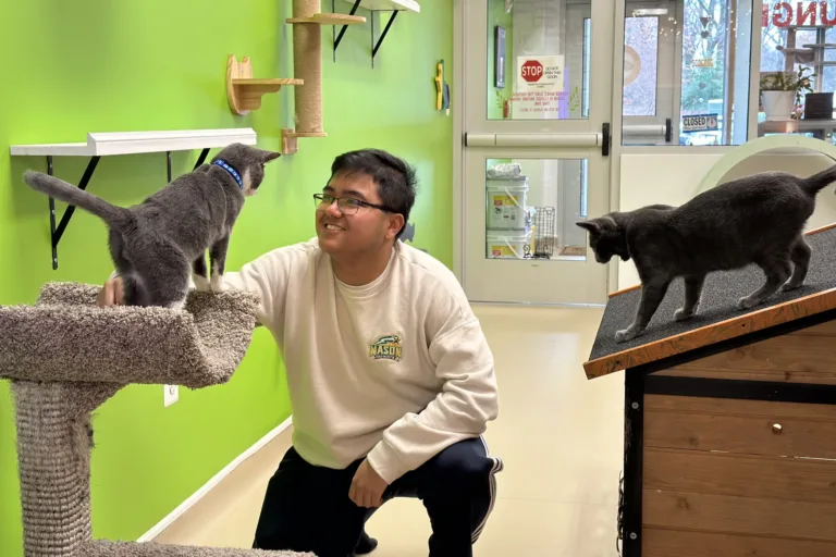 Influencer-PatriotPerks